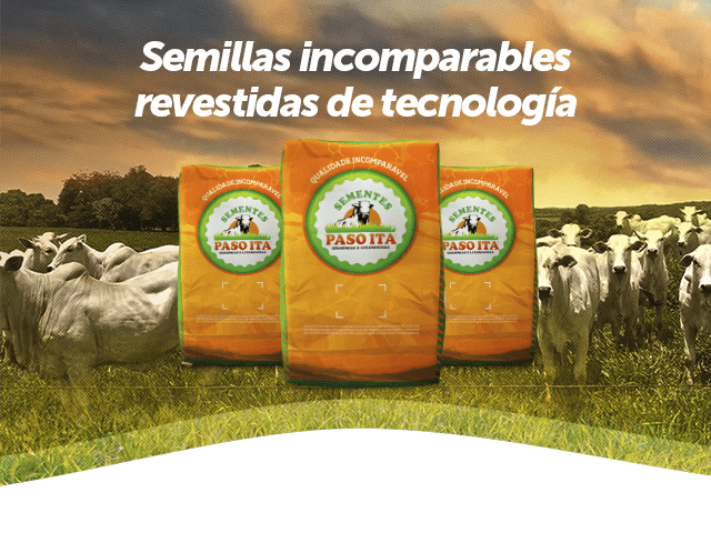 Fabricantes De Sementes E Produtos Para Pasto – Sementes Paso Ita ...