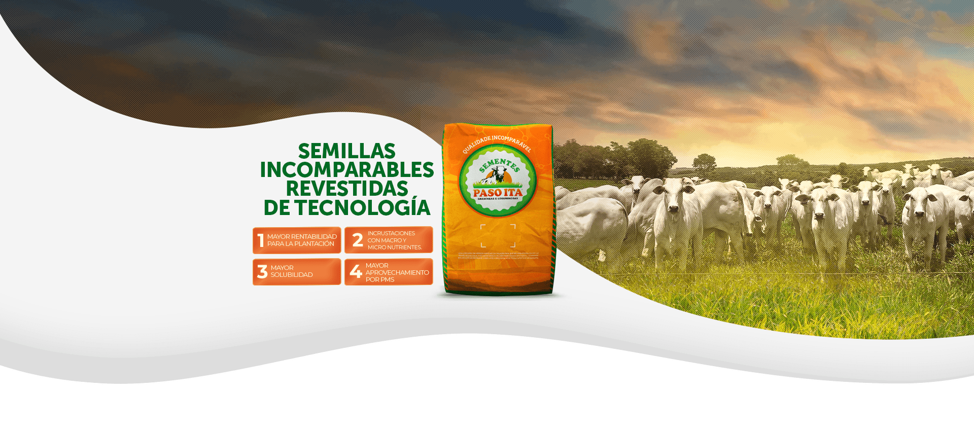 Fabricantes De Sementes E Produtos Para Pasto – Sementes Paso Ita ...