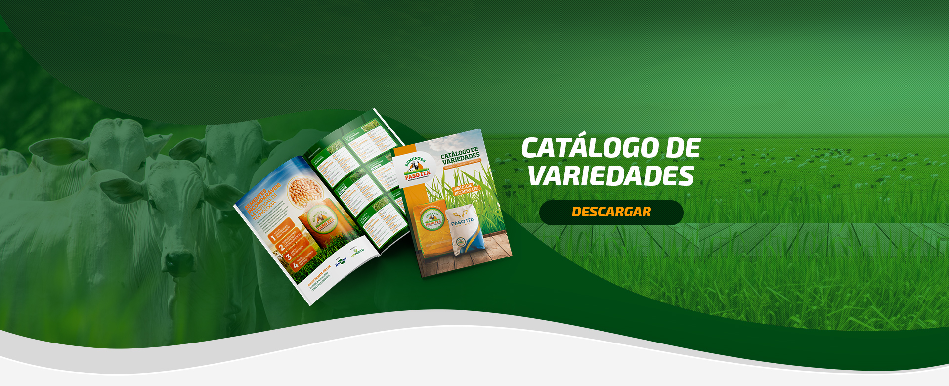 Fabricantes De Sementes E Produtos Para Pasto – Sementes Paso Ita ...