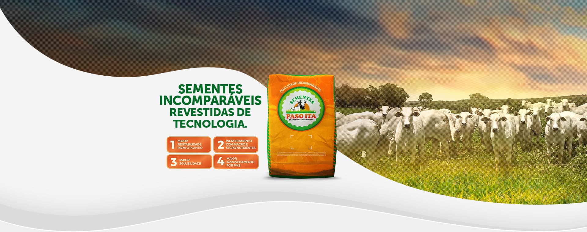 Fabricantes De Sementes E Produtos Para Pasto – Sementes Paso Ita ...